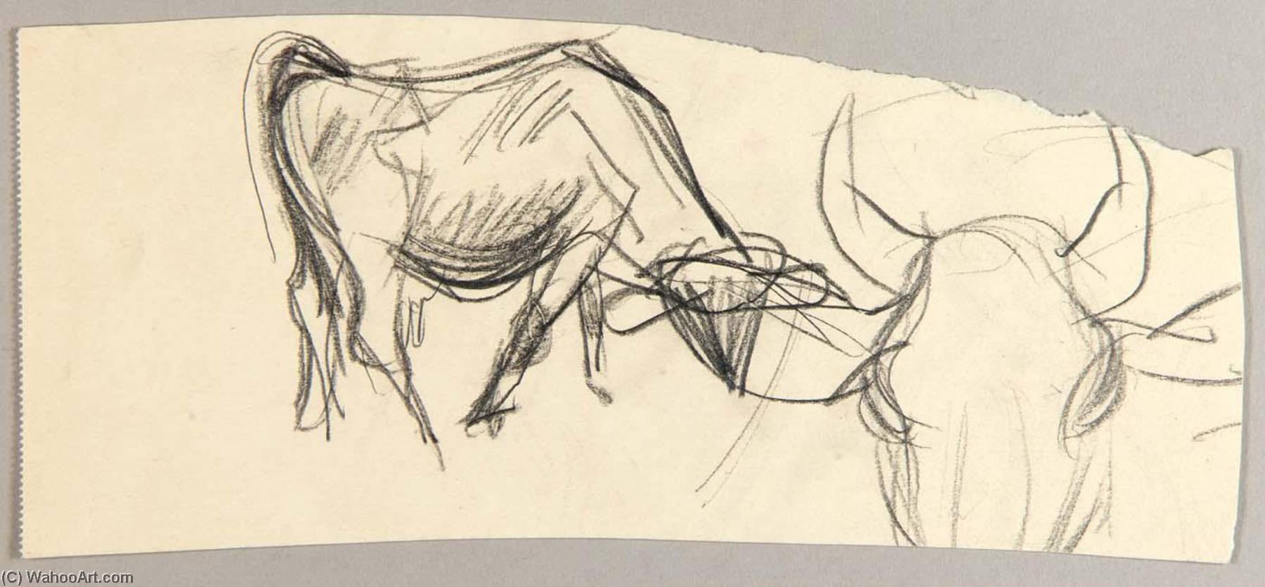 Oxen — Christoph Voll