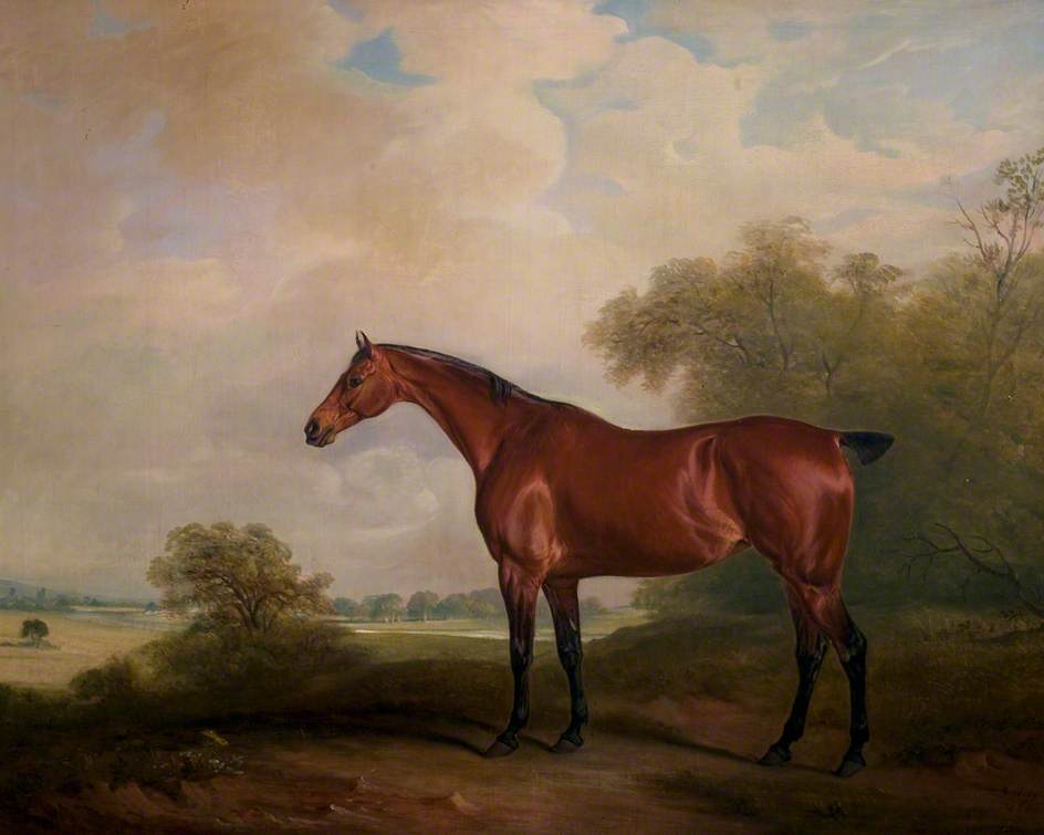 Mr Green's Bay Mare — Sr John E Ferneley