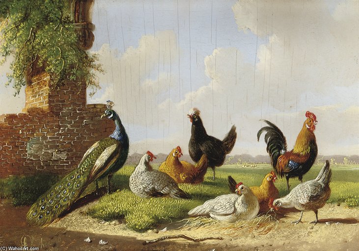 A Peacock, Rooster And Hens In A Landscape — Albertus Verhoesen