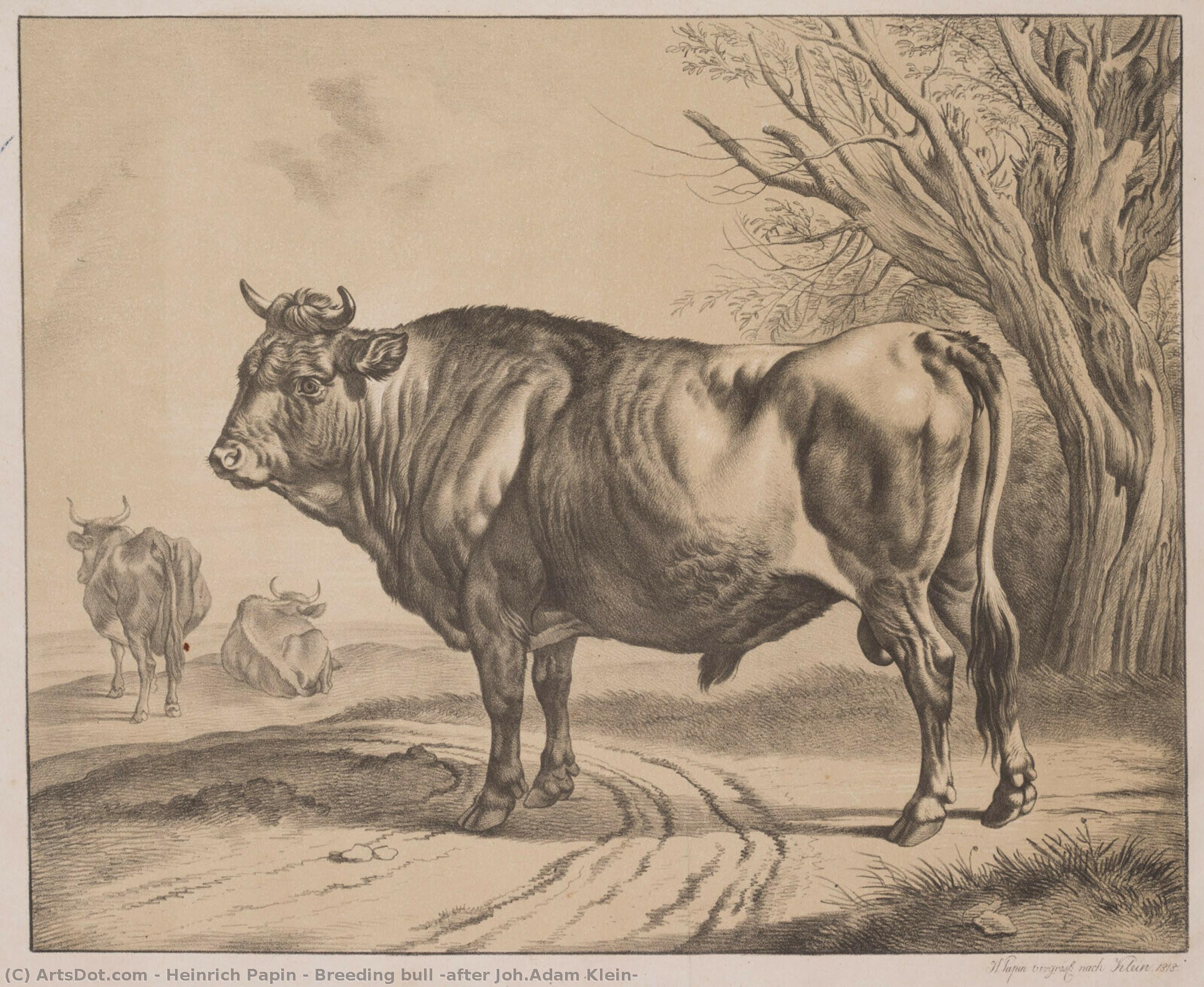 Breeding Bull (after Joh.adam Klein) — Heinrich Papin