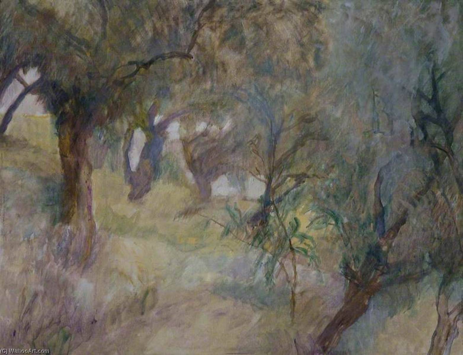 Olive Orchard — Adrian Durham Stokes