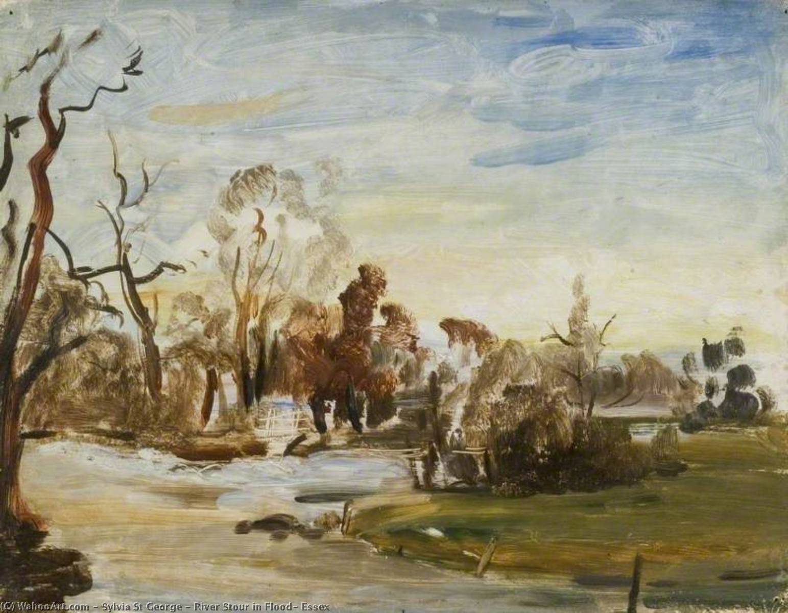River Stour In Flood, Essex — Sylvia St George