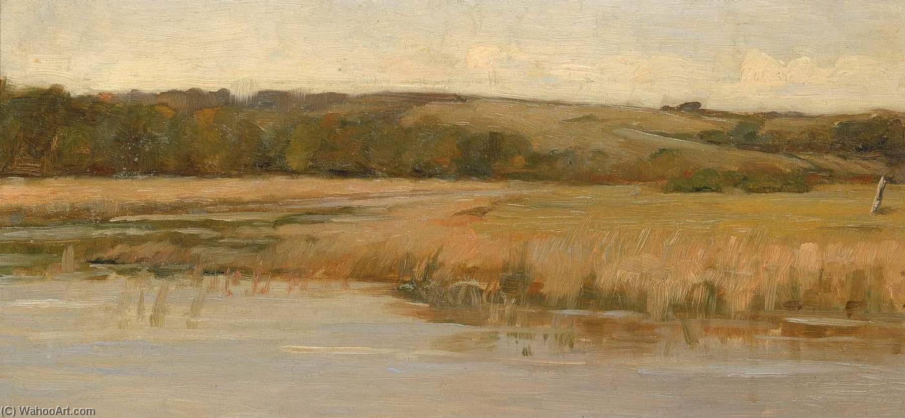 Hill And Marshland — Max Weyl