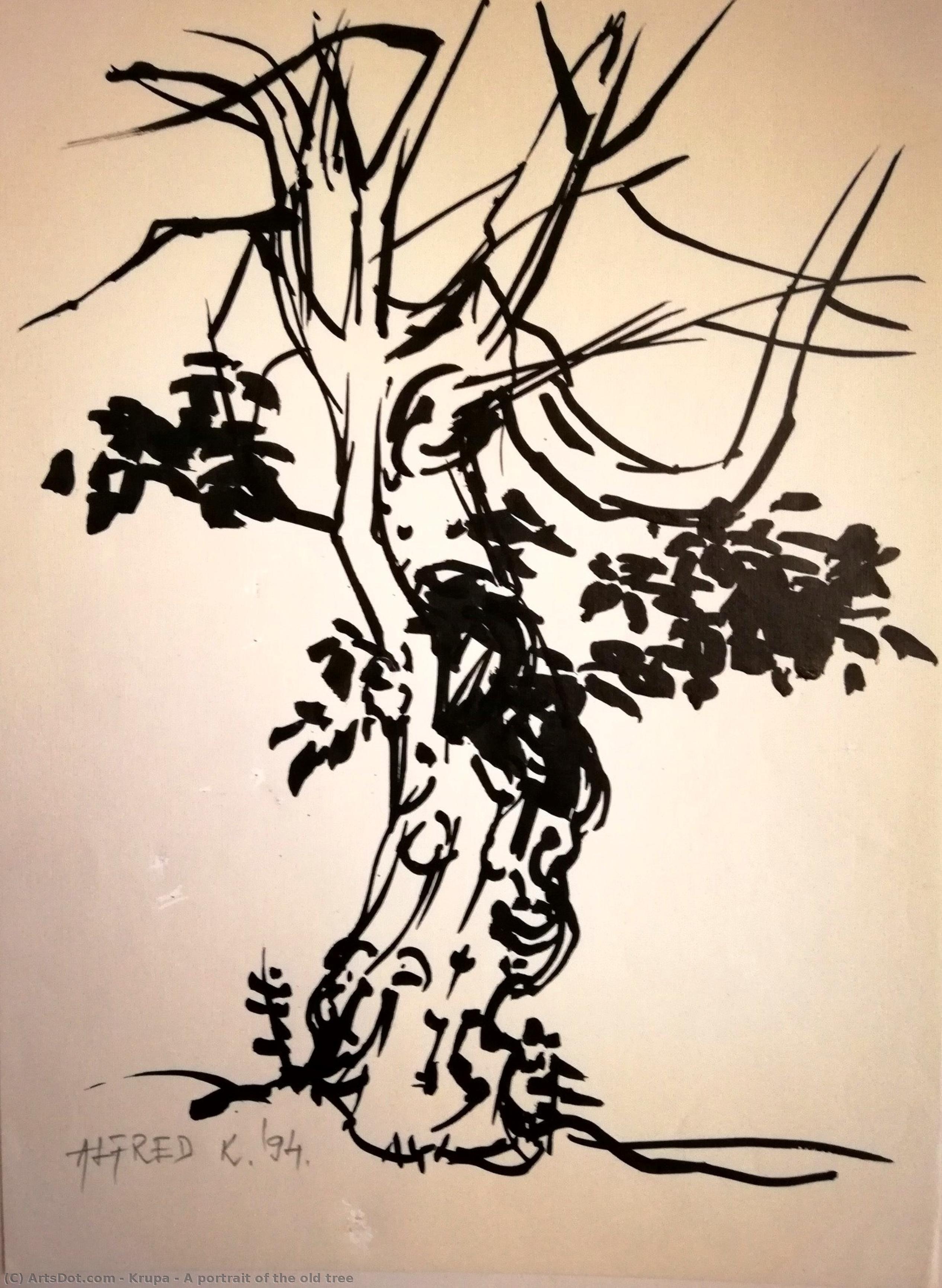 A Portrait Of The Old Tree — Alfred Freddy Krupa