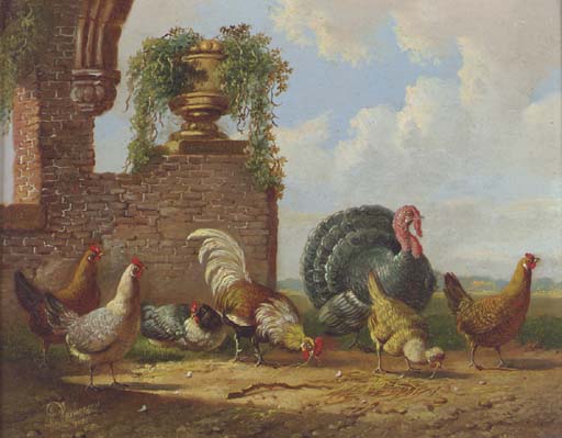 A Turkey And Other Fowl In A Garden — Albertus Verhoesen