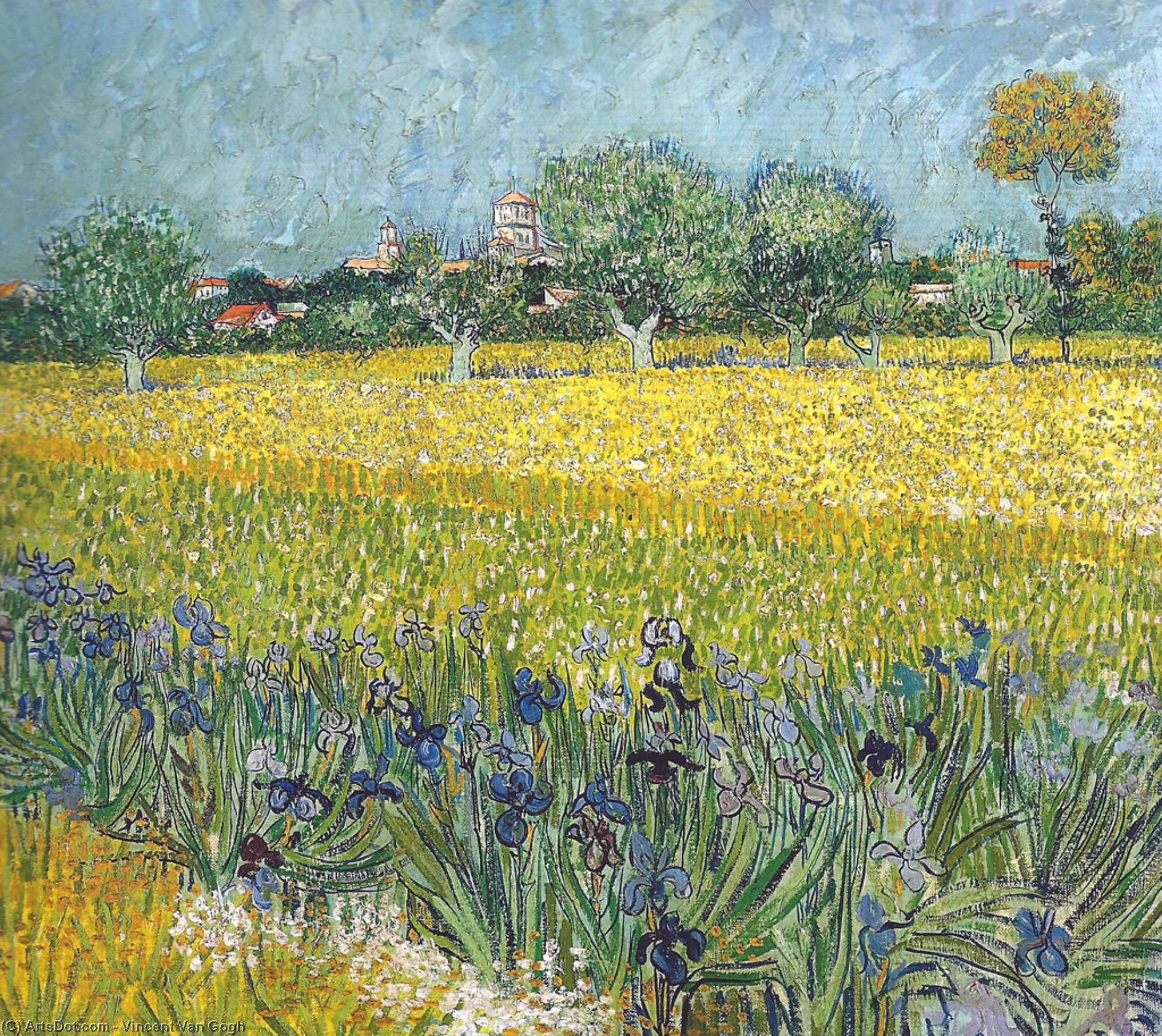 Ansicht Von Arles Mit Irisen Im Vordergrund — Vincent Willem Van Gogh