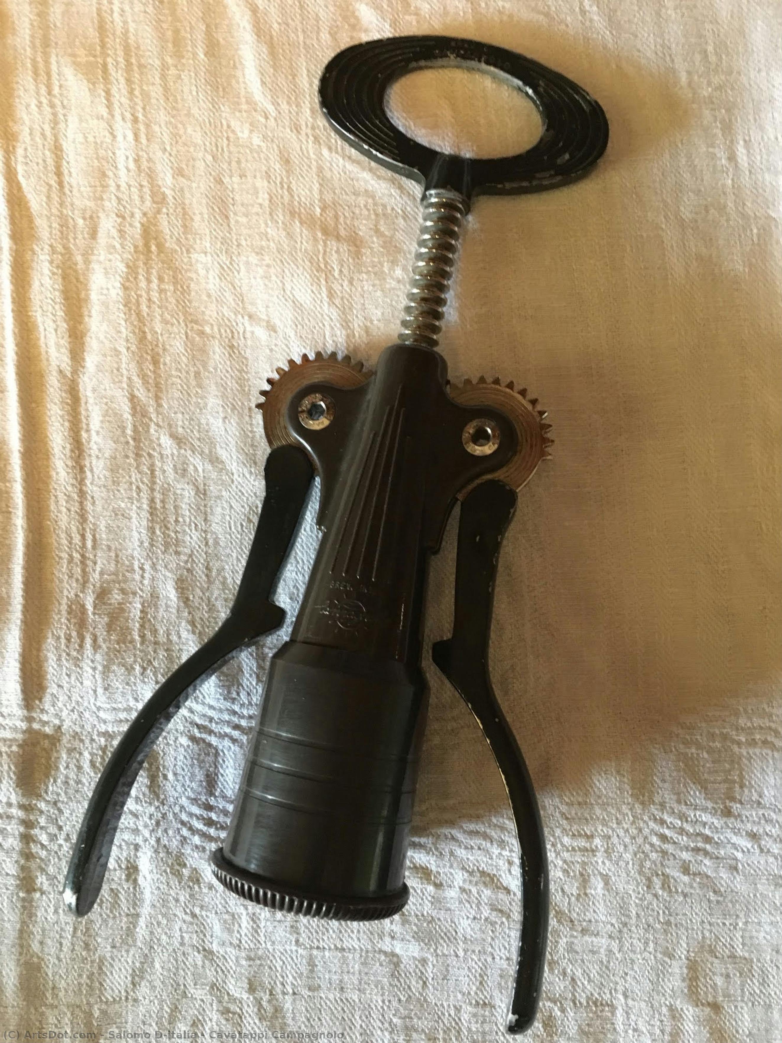 Cavatappi Campagnolo — Salomo D'italia