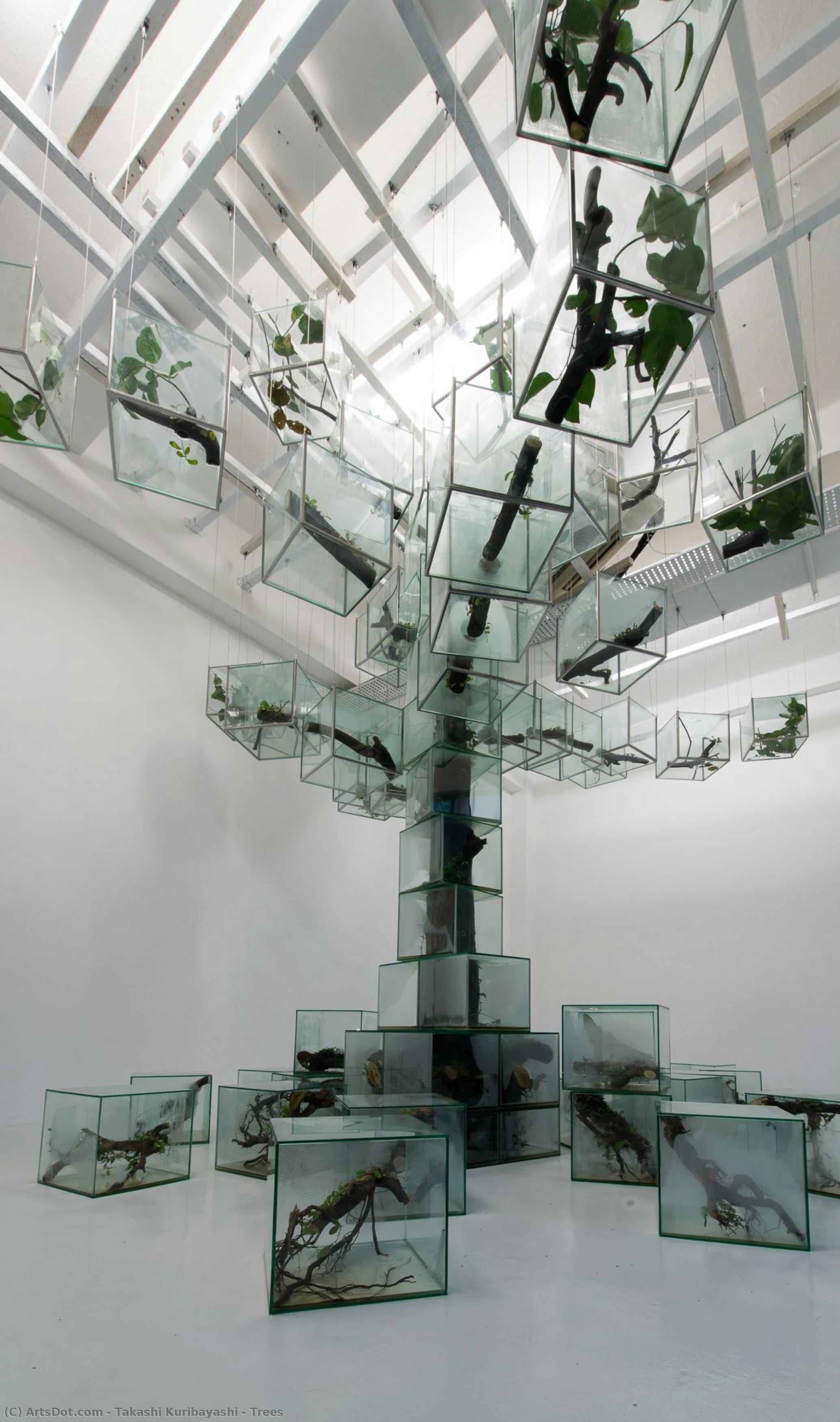 Trees — Takashi Kuribayashi