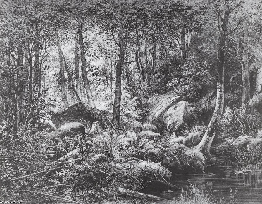 Slums (view On The Island Of Valaam) — Ivan Ivanovich Shishkin