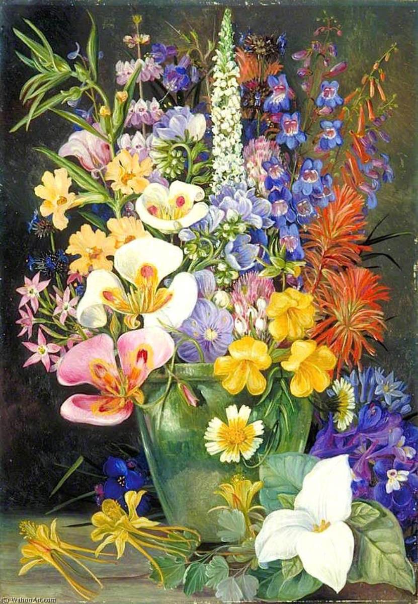 Group Of Californian Wild Flowers — Marianne North