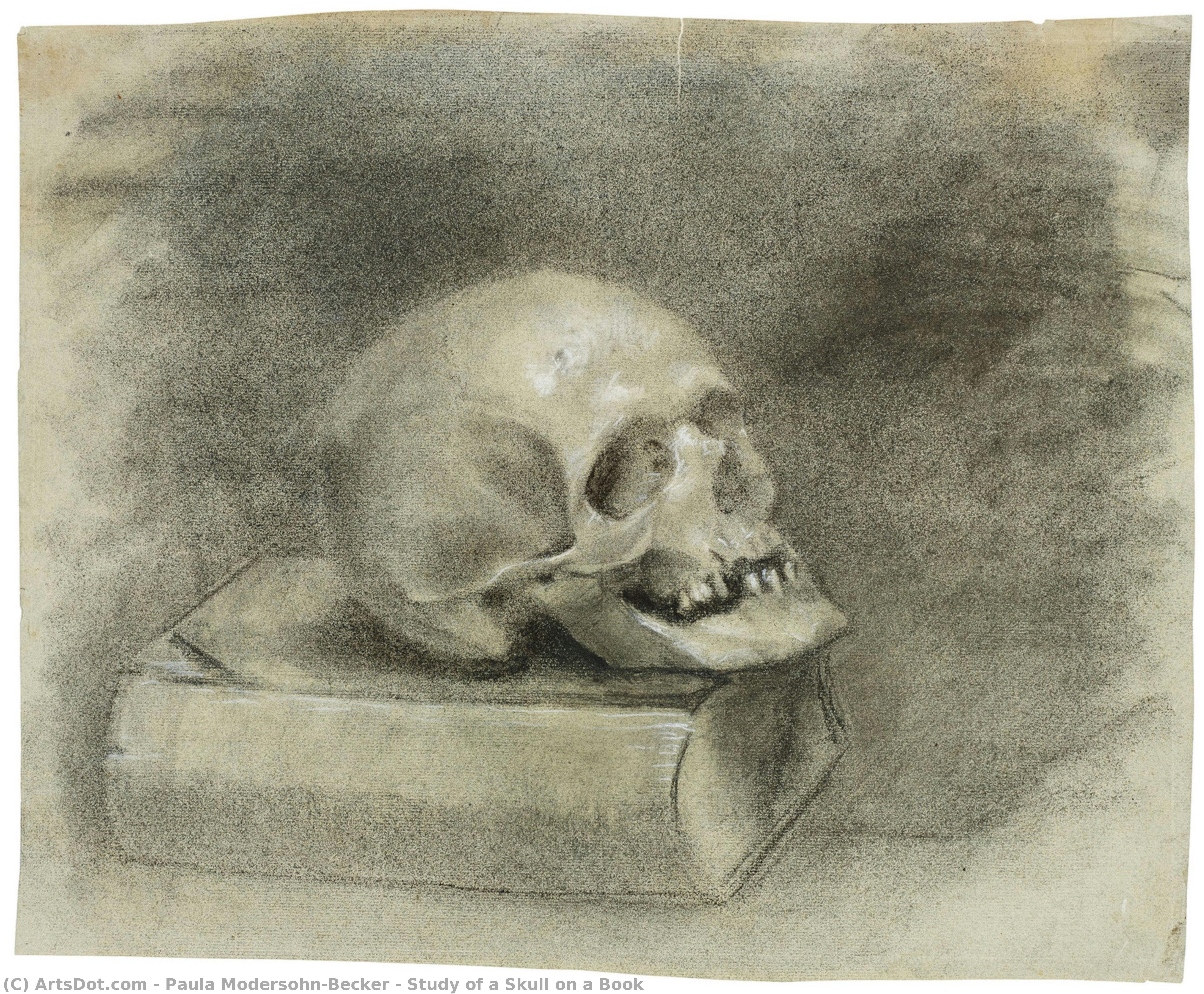 Study Of A Skull On A Book — Paula Modersohn-becker