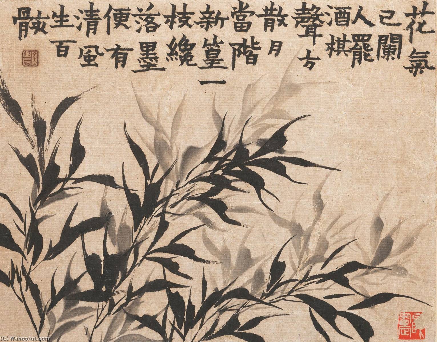 Bamboo — Jin Nong
