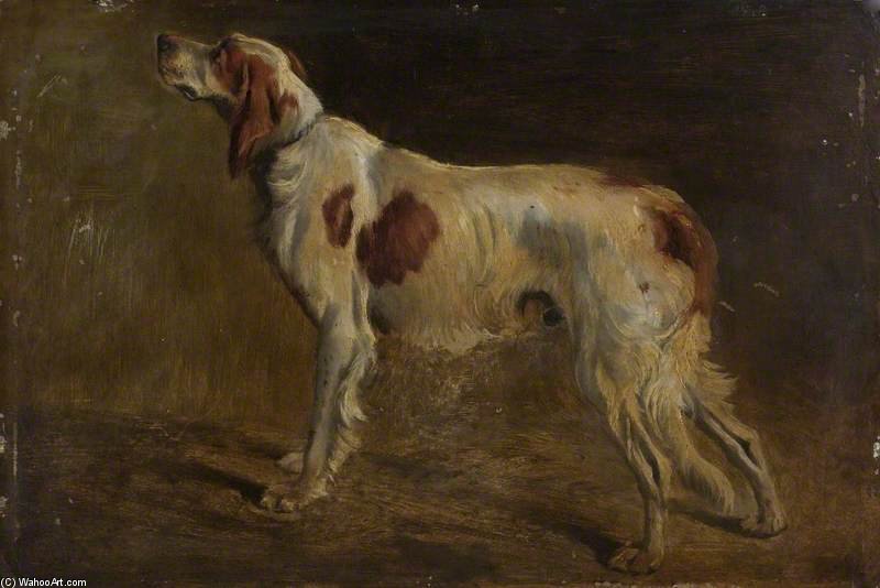 A Setter — Alfred Wheeler