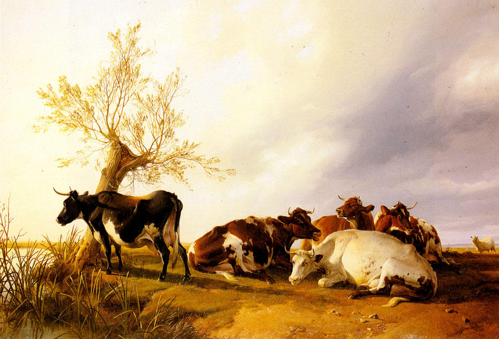 Dairy Cows Resting — Томас Сидни Купер