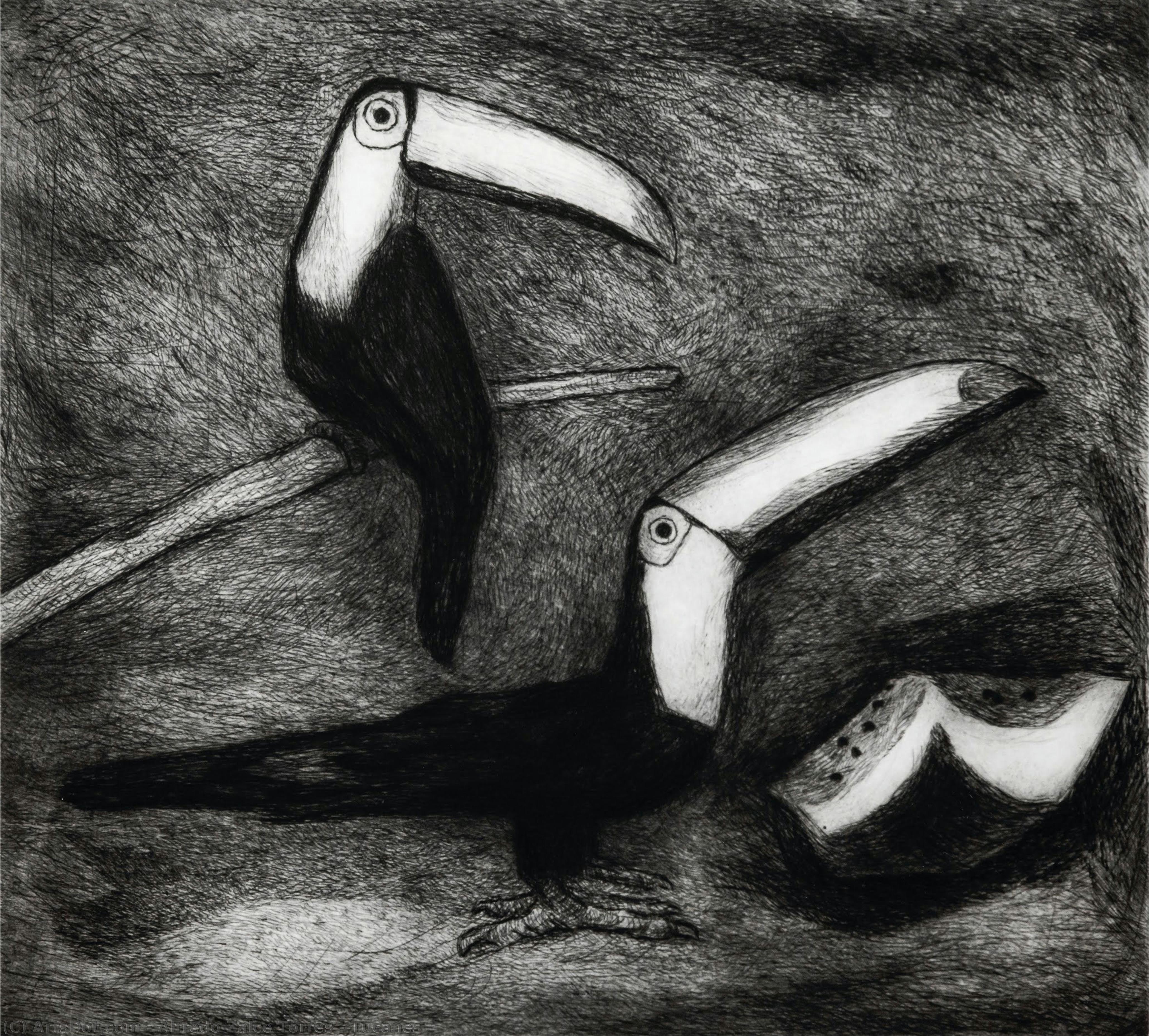 Tucanes — Alfredo Zalce Torres