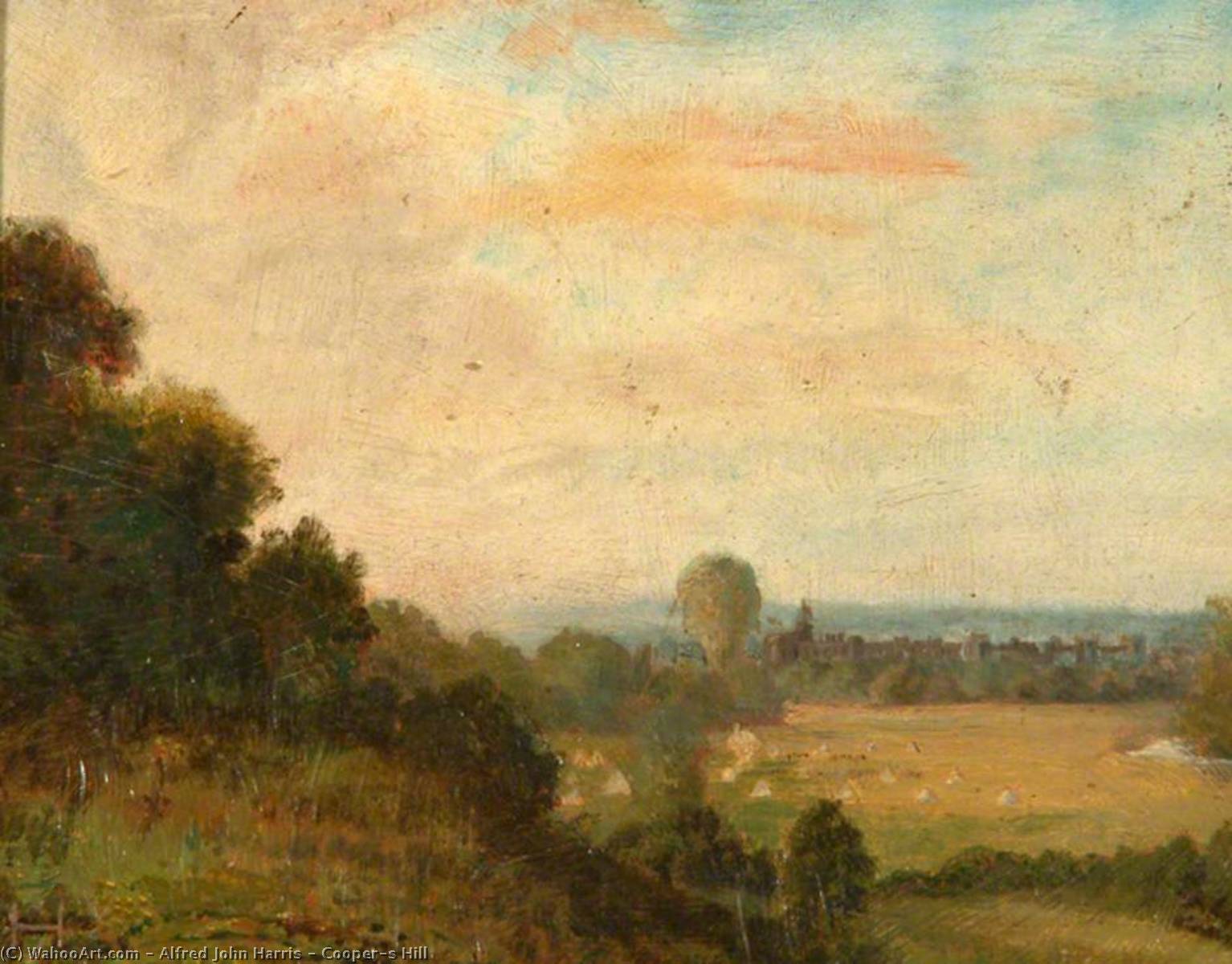 Cooper's Hill — Alfred John Harris