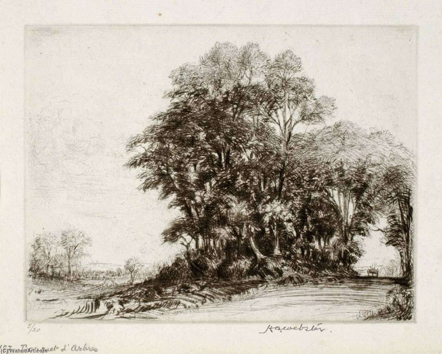 Bouquet D'arbres Au Barrail — Herman Armour Webster