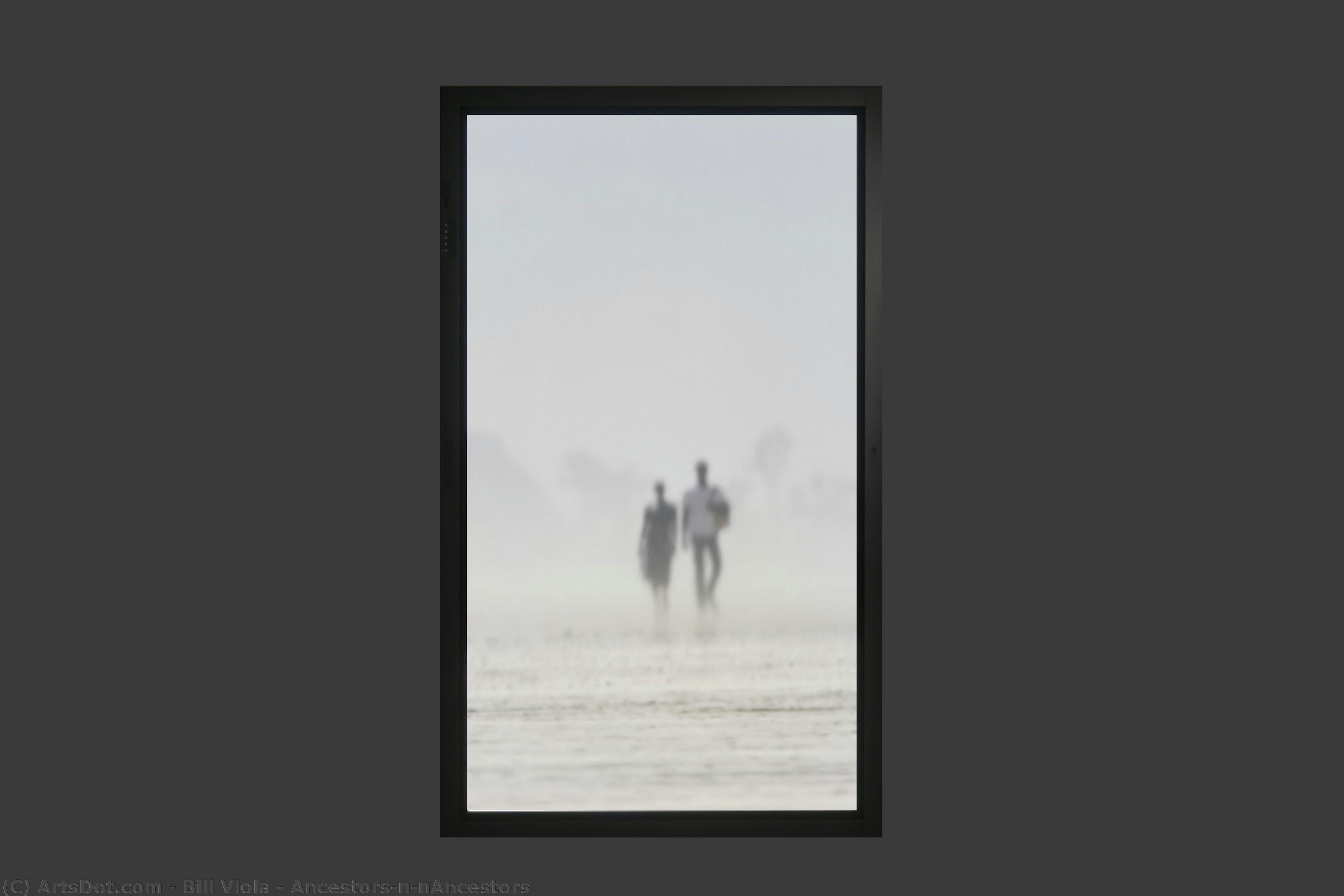 Ancestors\n\nancestors — Bill Viola