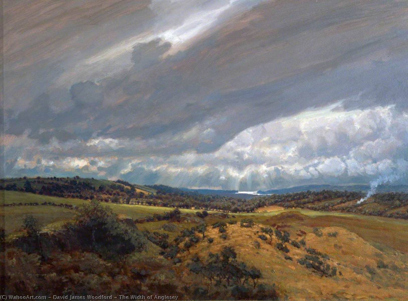 The Width Of Anglesey — David James Woodford