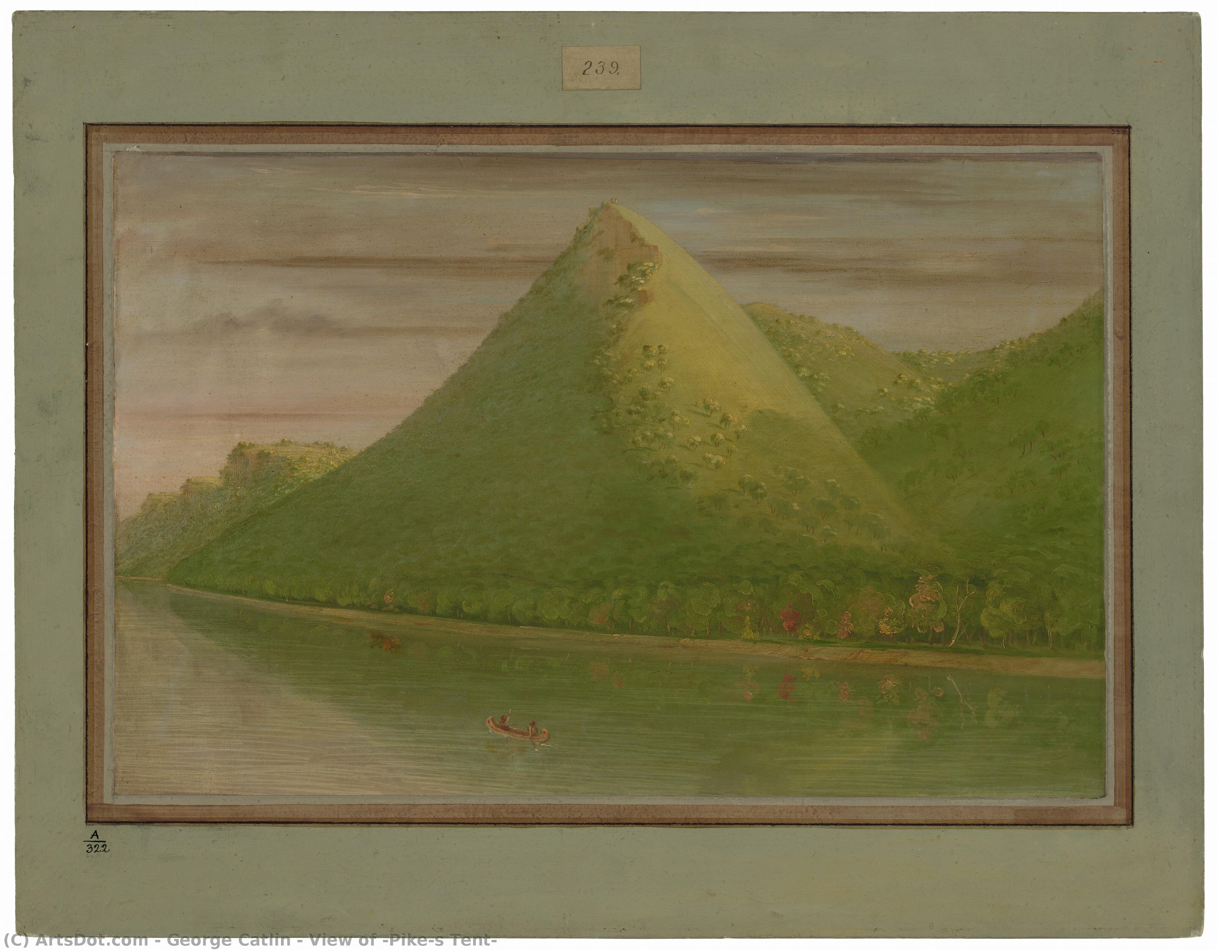 View Of 'pike's Tent' — George Catlin