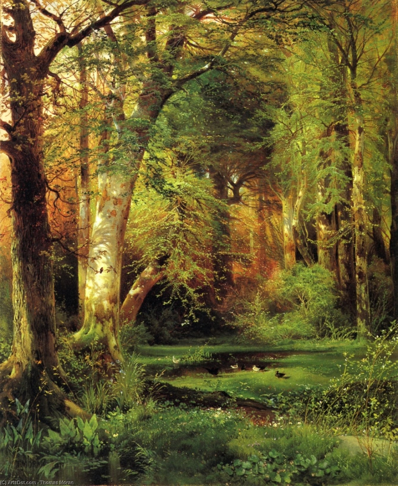 Forest Scene — Tomas Moran