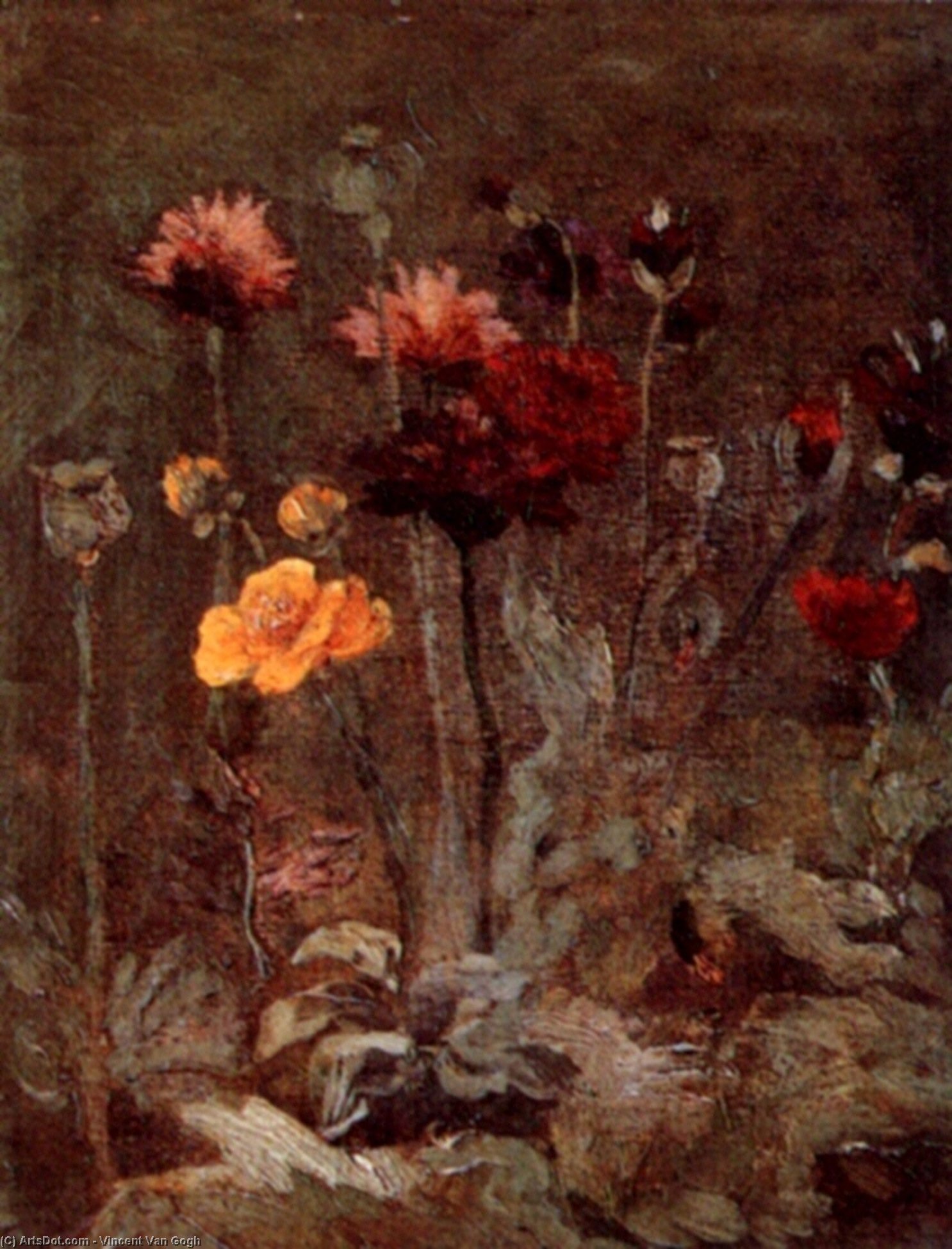 Still Life With Scabiosa And Ranunculus — Vincent Willem Van Gogh