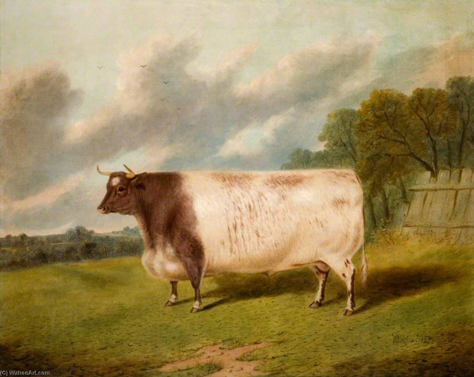 Bull, 'champion' — Richard Whitford