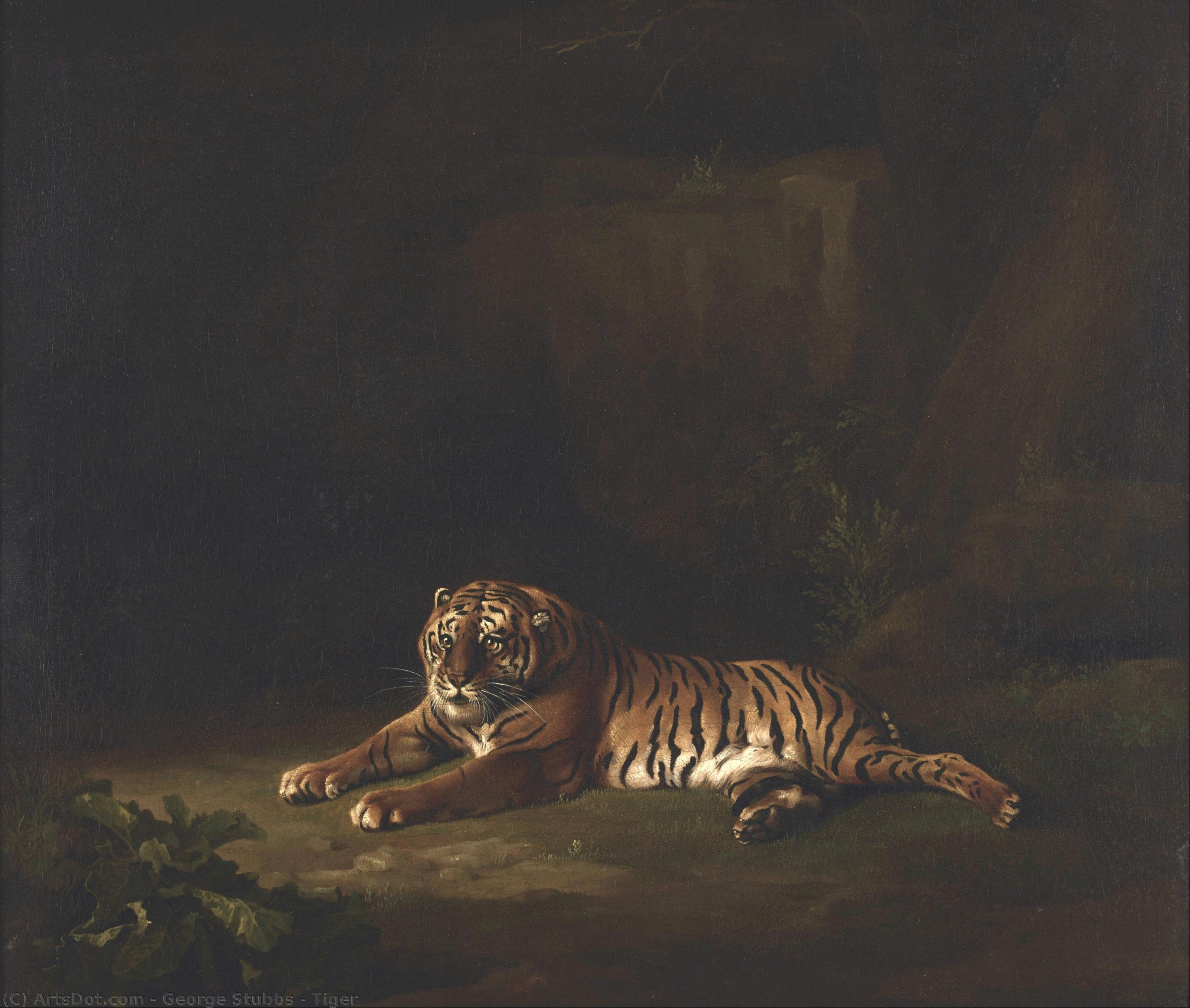 Tiger — Джордж Стббс