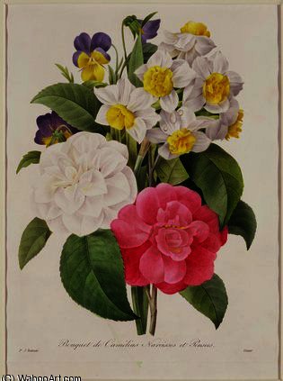Camellias, Narcissus And Pansies — Pierre Joseph Redouté