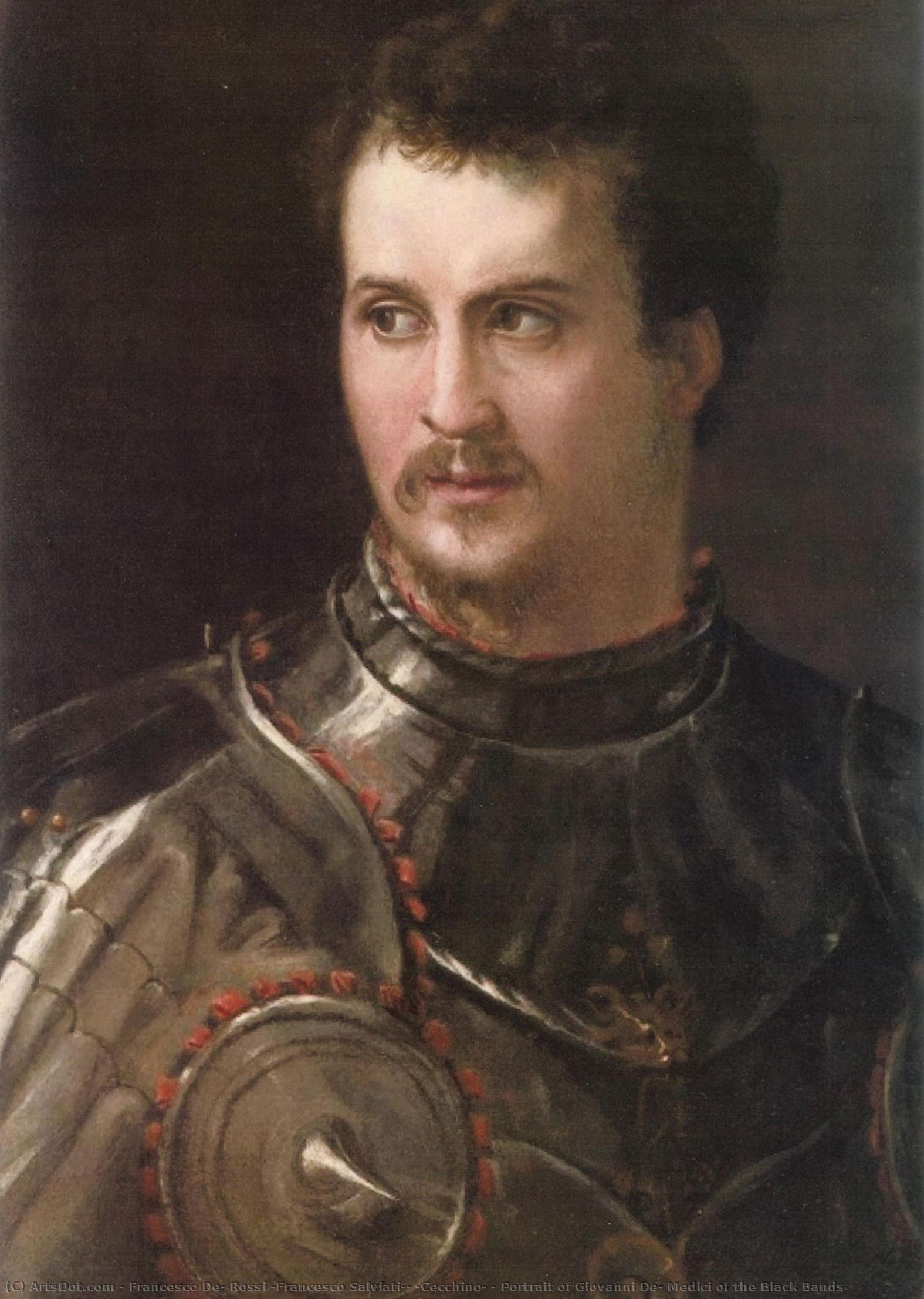 Portrait Of Giovanni De’ Medici Of The Black Bands — Francesco Salviati (cecchino Del Salviati)