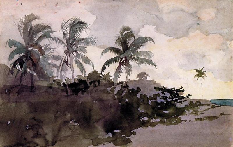 Coconut Palms — Winslow Homer