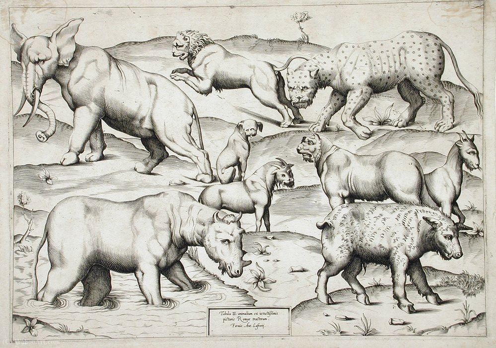 Sheet Of Animals — Enea Vico