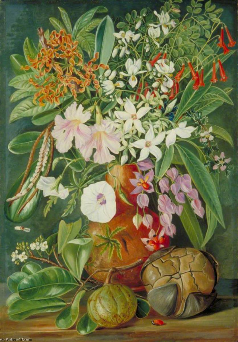 Eine Auswahl An Blumen, Wild Und Kultiviert, Mit Puzzle-nuss, Mahé — Marianne North