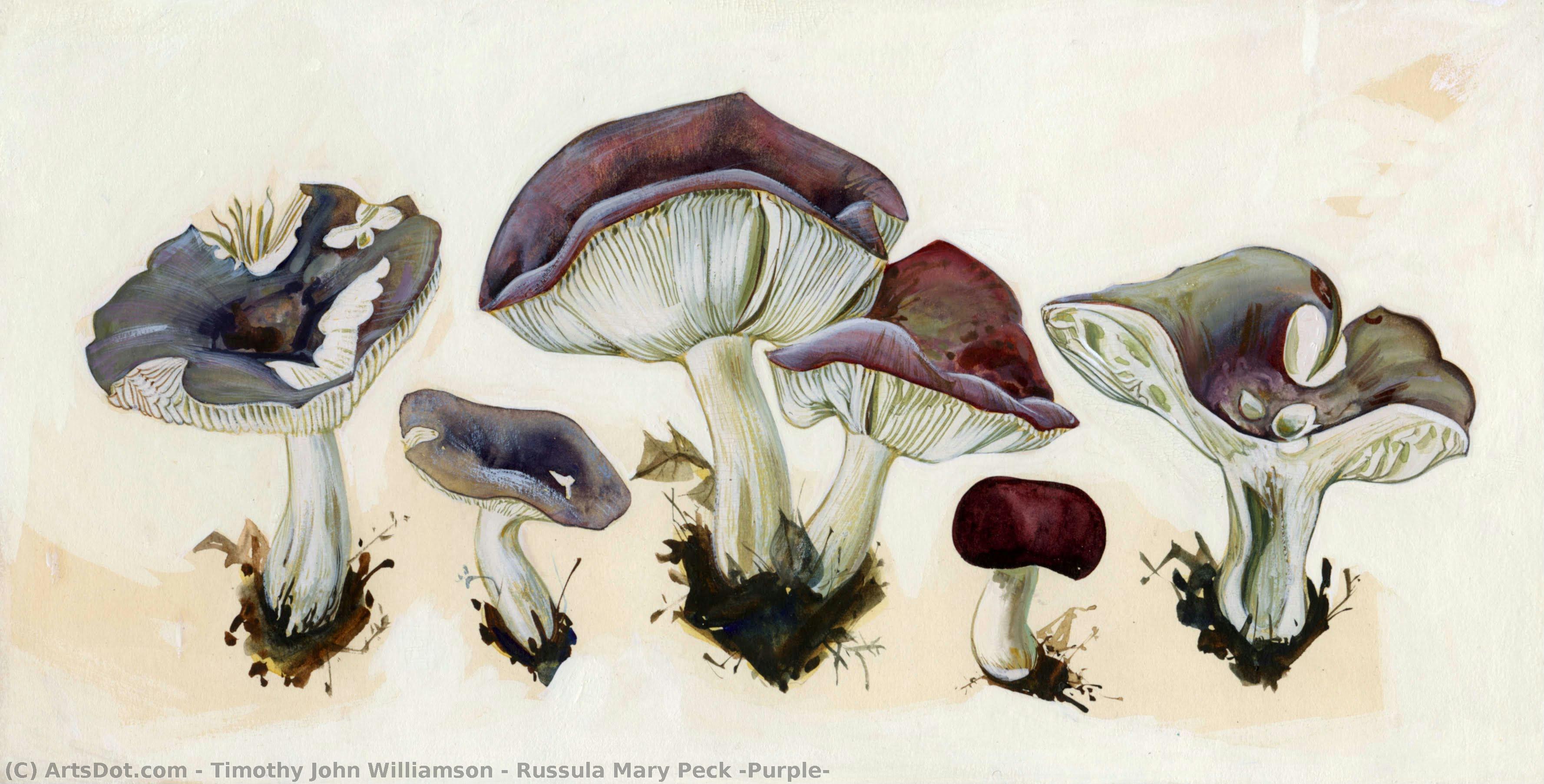 Russula Mary Peck (purple) — Timothy John Williamson