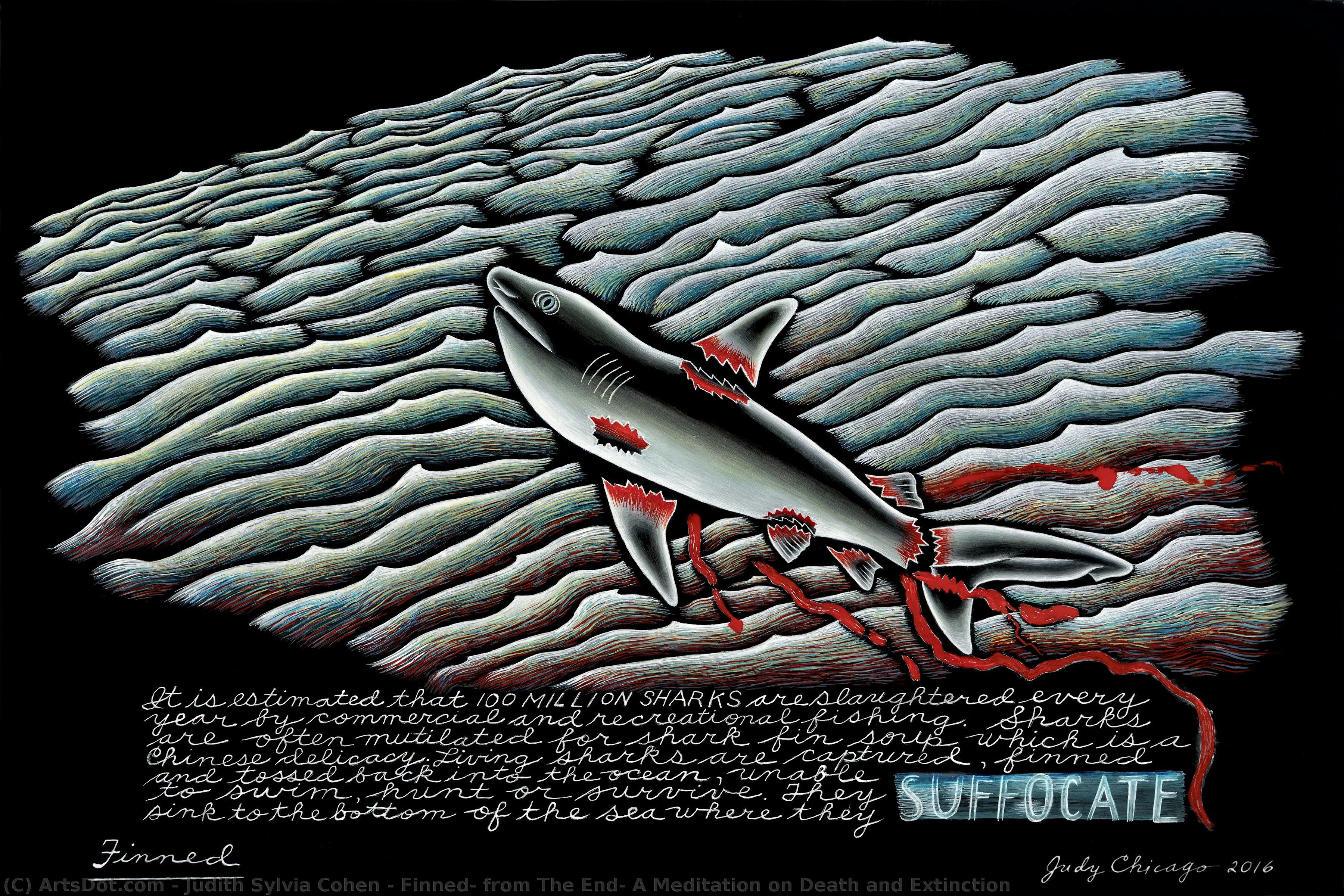 Finned, From The End: A Meditation On Death And Extinction — Judith Sylvia Cohen