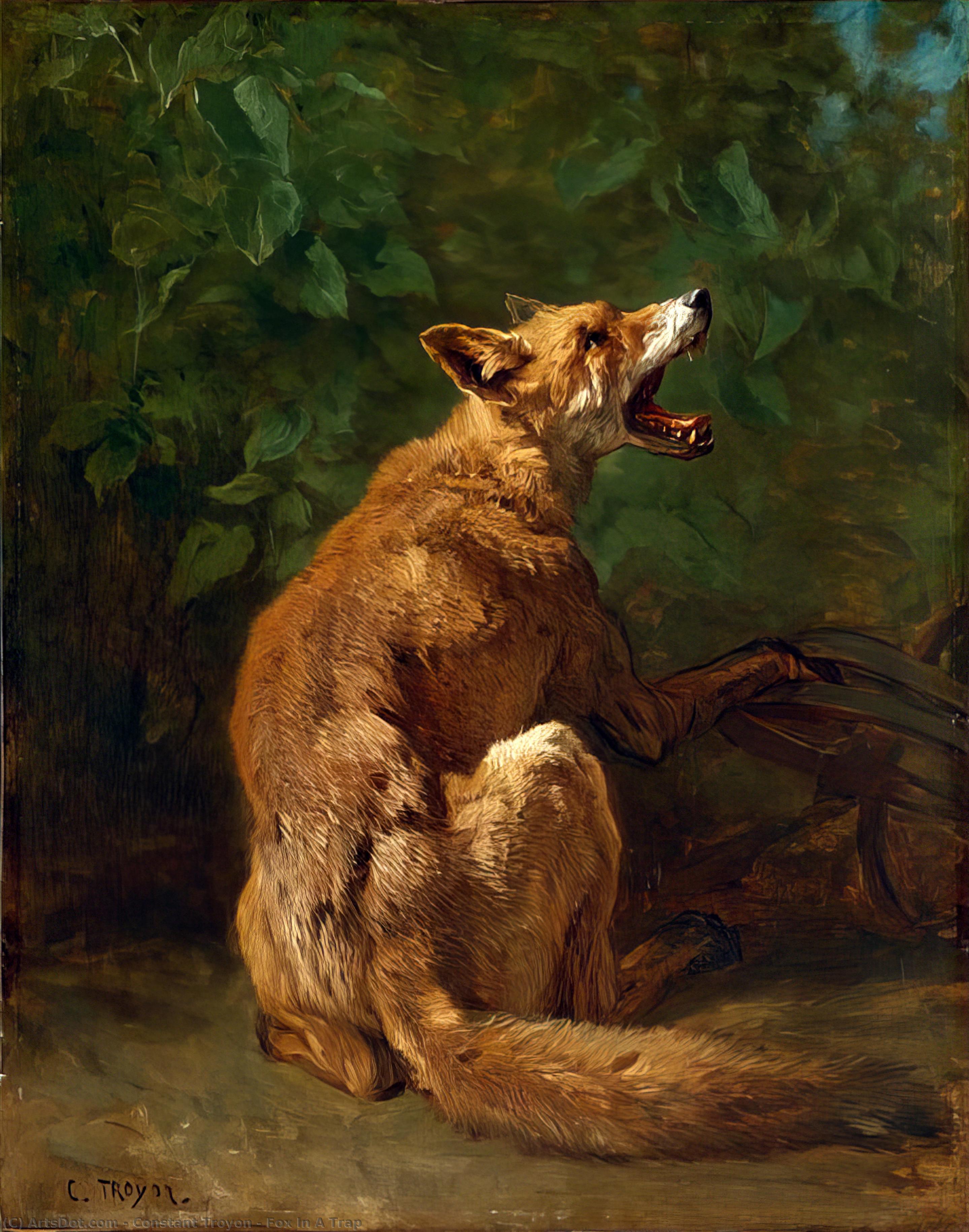 Fox In A Trap — Констан Троајон