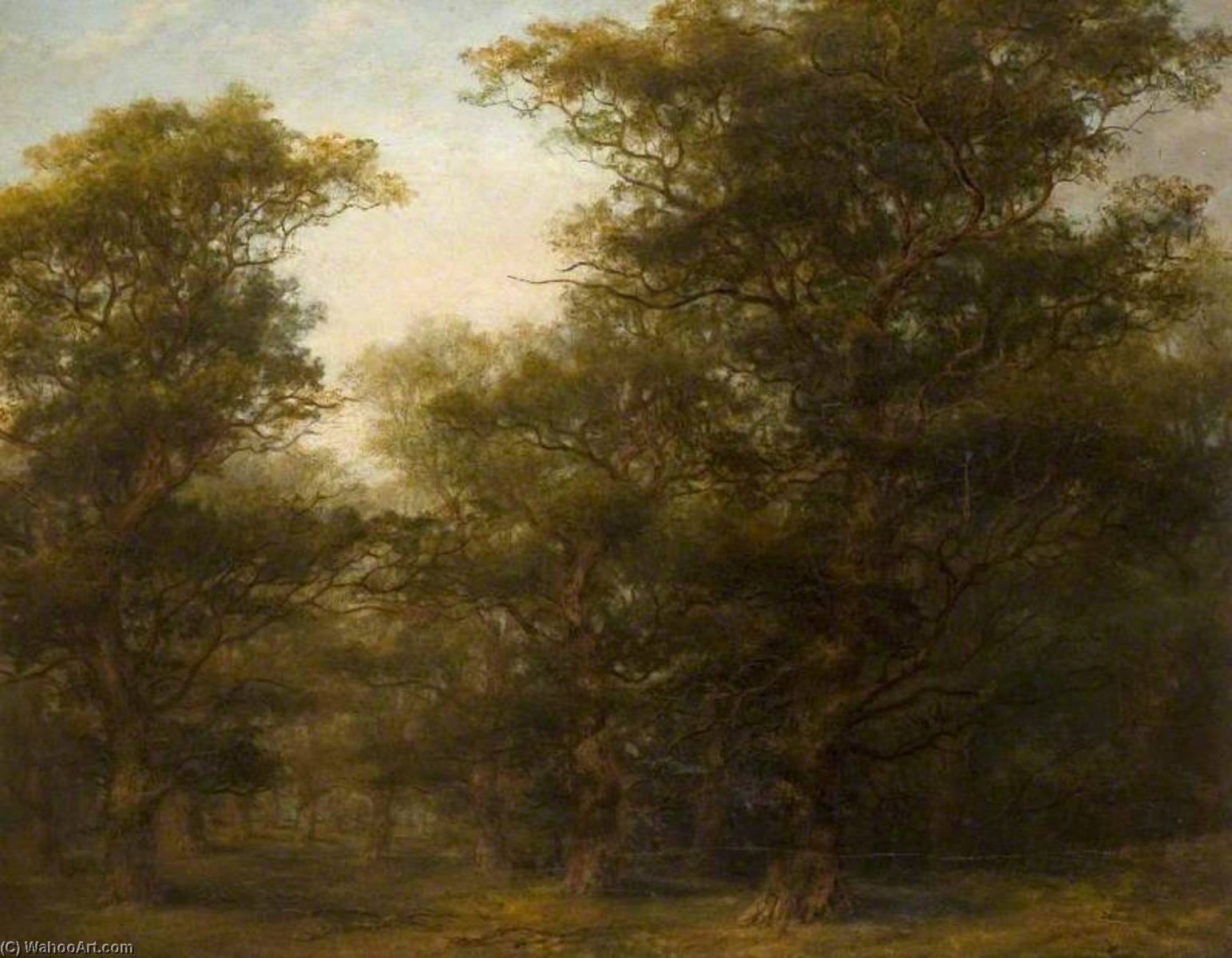 Sherwood Forest — Norman Hirst