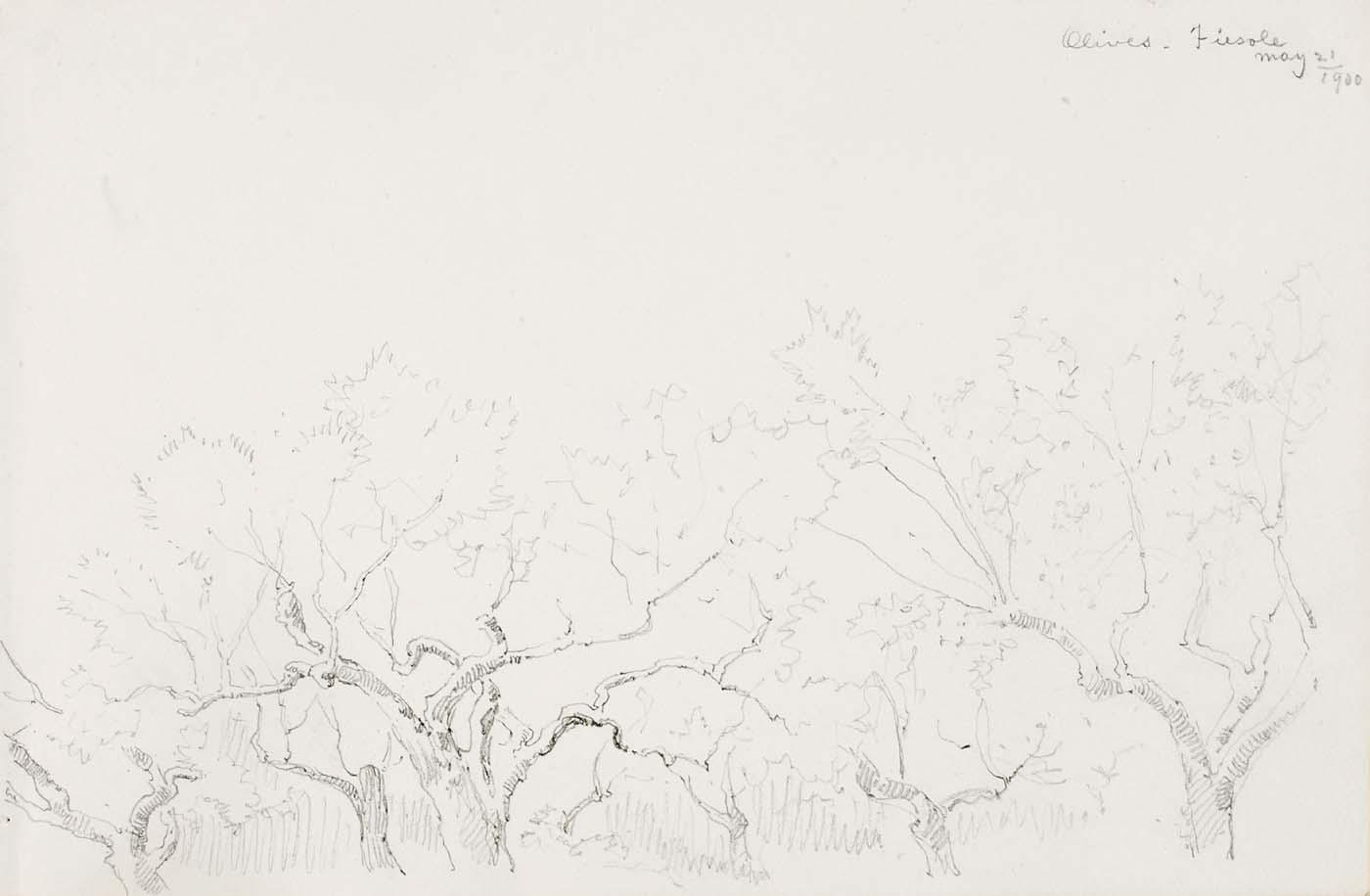 Olives Fiesole — George Elbert Burr