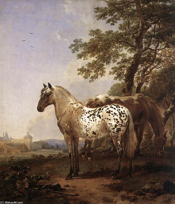 Landscape With Two Horses — Nicolaes Pietersz. Berchem