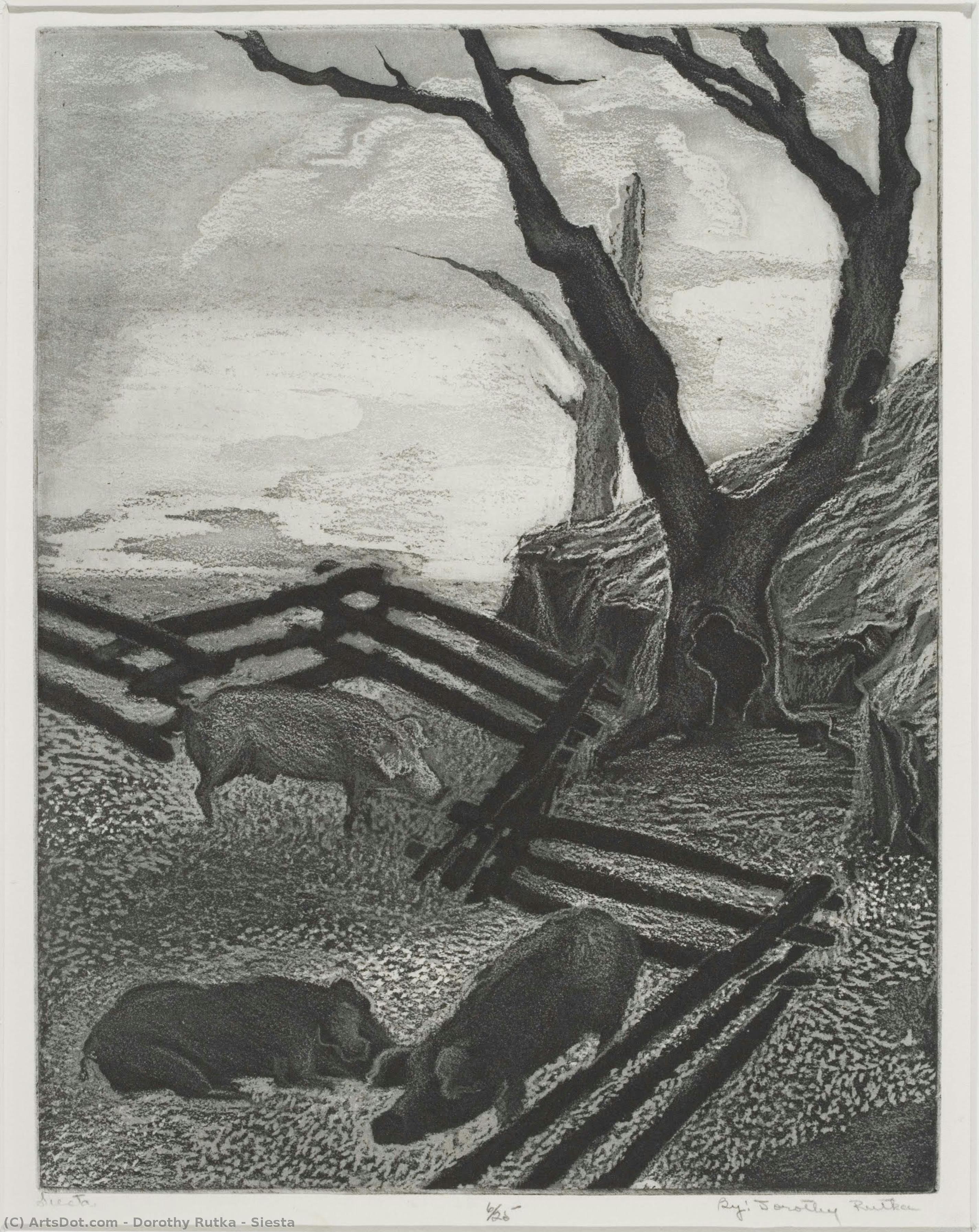 Siesta — Dorothy Rutka