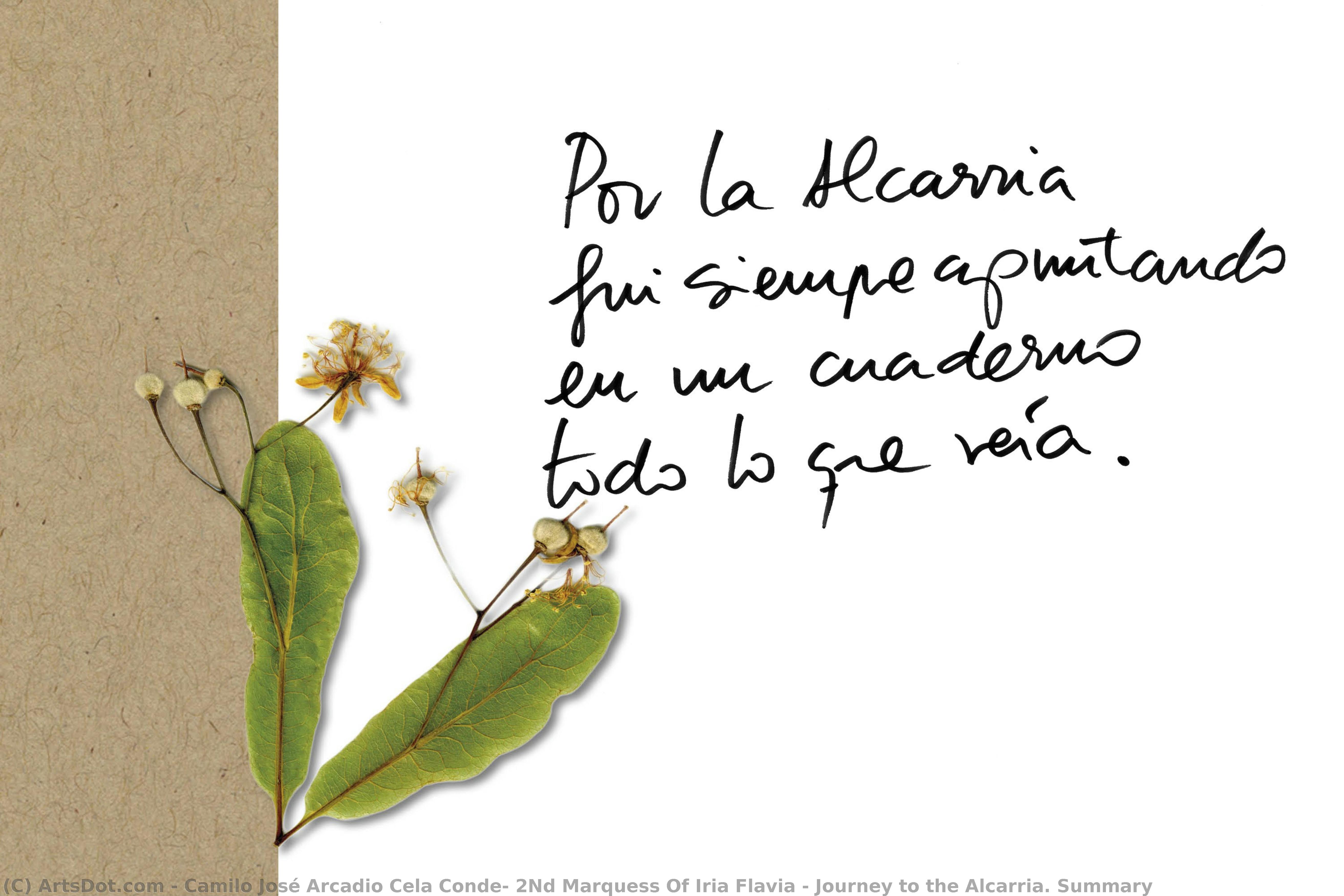 Journey To The Alcarria. Summary — Camilo José Arcadio Cela Conde, 2nd Marquess Of Iria Flavia