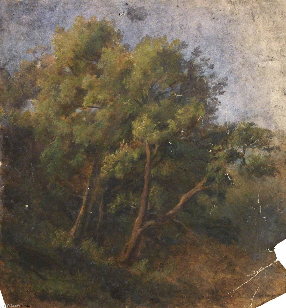 Forest Landscape — Томас Стюарт Смит