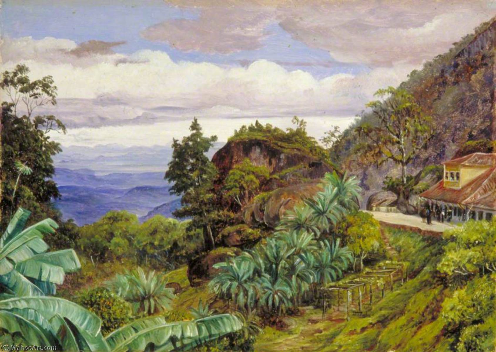 Blick Auf Die Sierra Von Teresópolis, Brasilien — Marianne North
