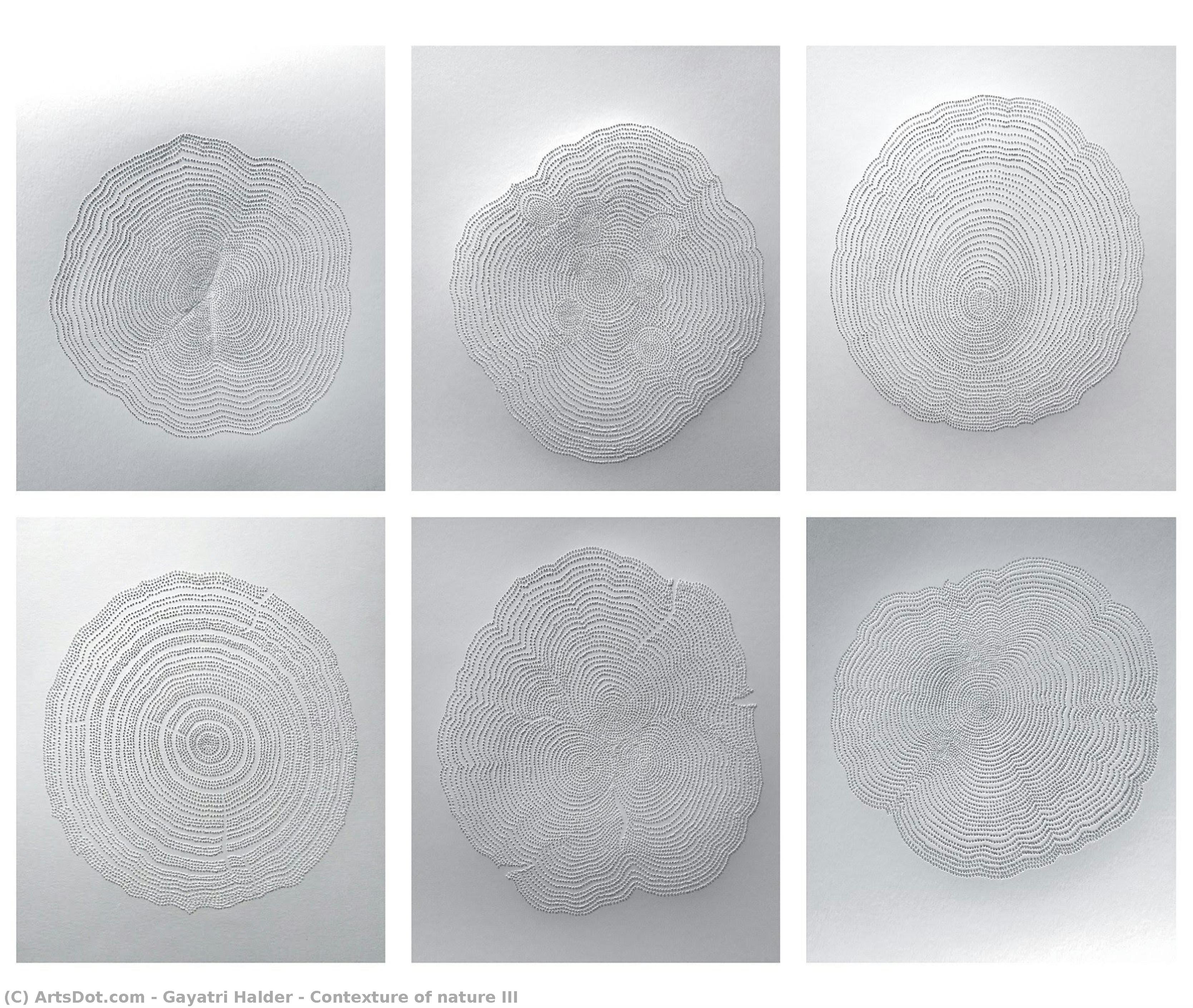 Contexture Of Nature Iii — Gayatri Halder
