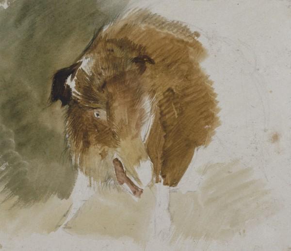 A Wild Boar — Джон Фредрик Ливз