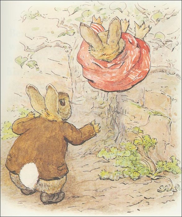Benjamin Bunny 10a - (11x12) — Beatrix Potter