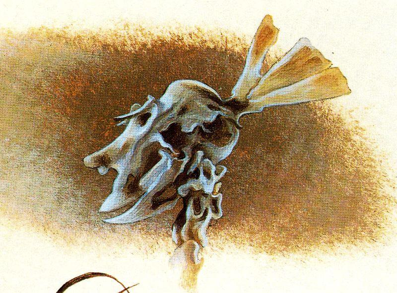 Head Of Homo Rodans 1 — Remedios Varo