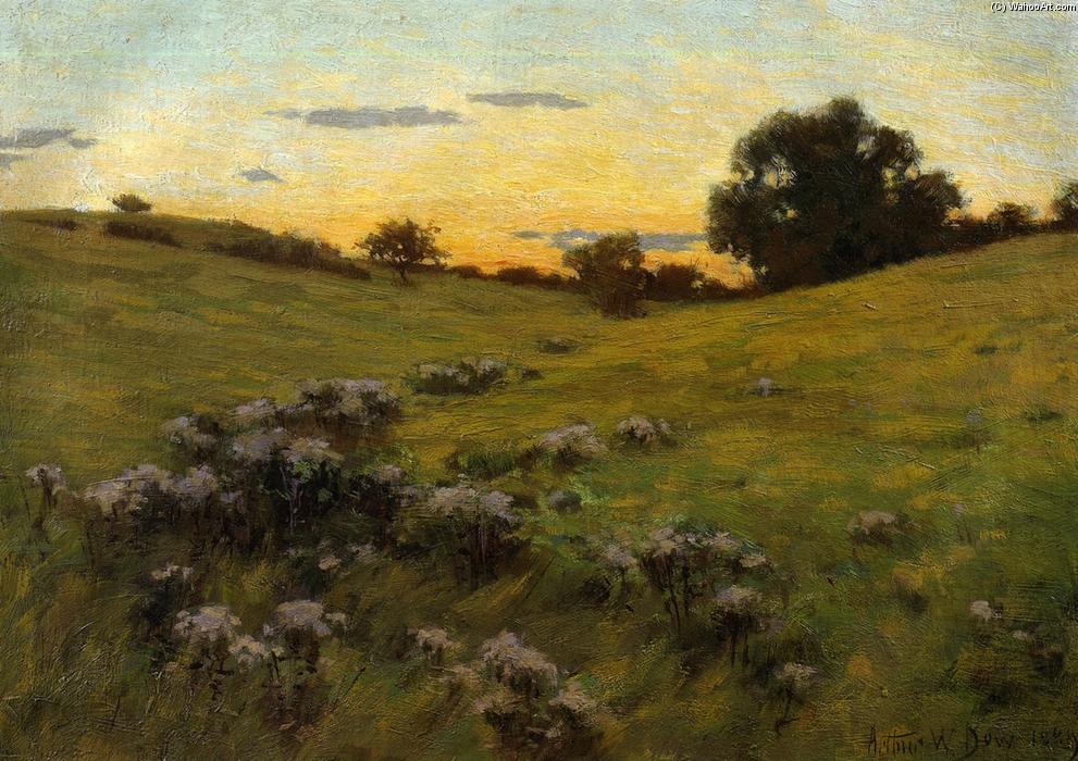 Flowering Field — Artur Vesli Do