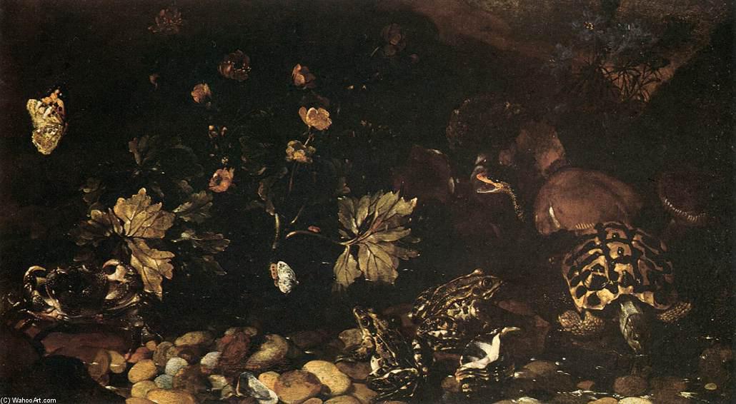 Still-life With A Snake, Frogs, Tortoise And A Lizard — Paolo Porpora