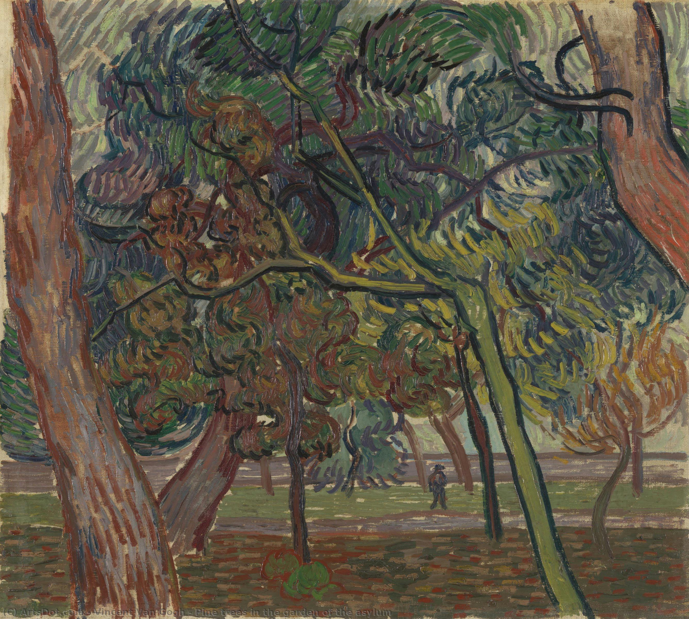 Pine Trees In The Garden Of The Asylum — Vincent Willem Van Gogh